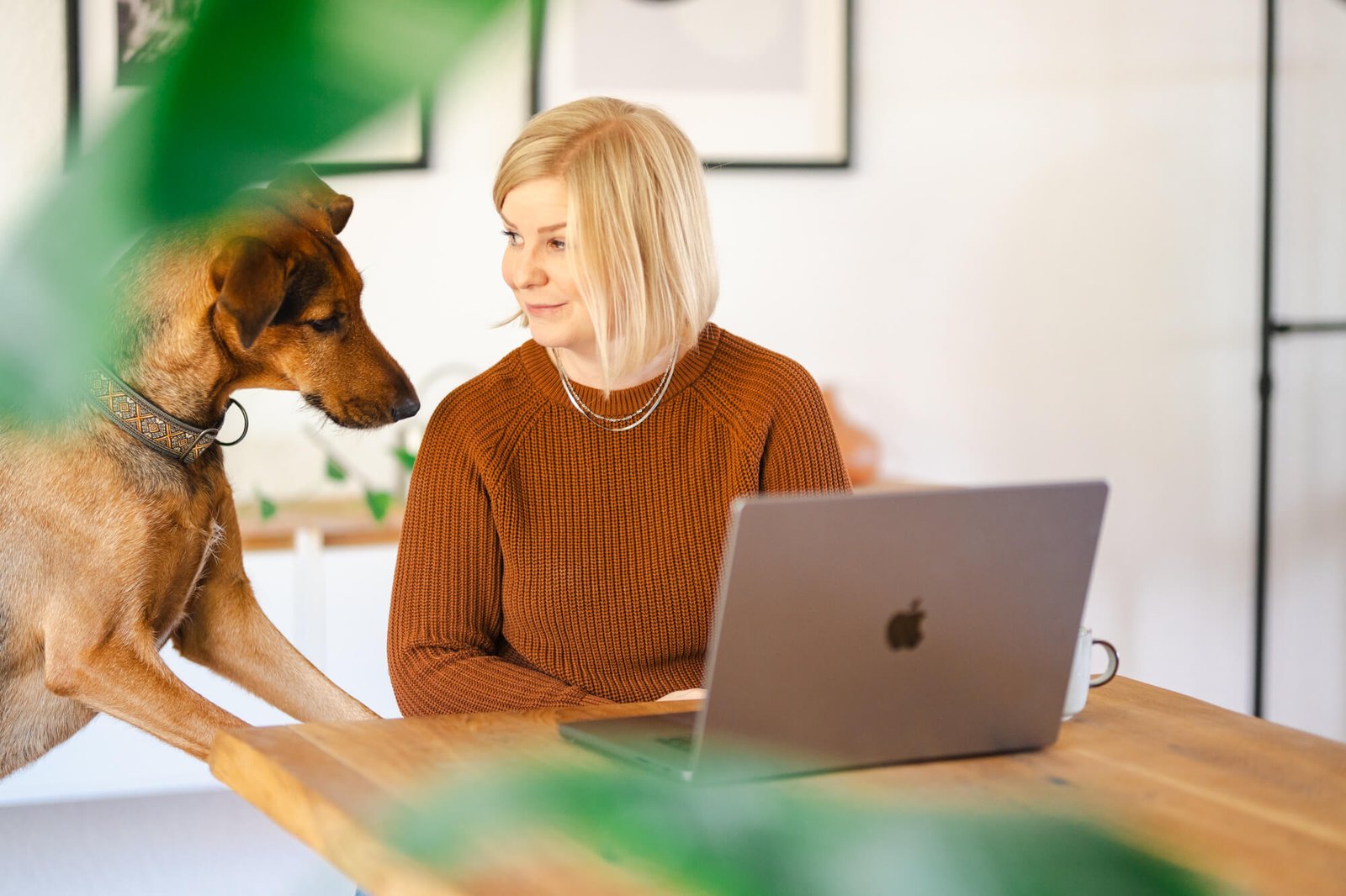 Nadine Hansen und ihr Hund Monty, der ihr beim Arbeiten zusieht.